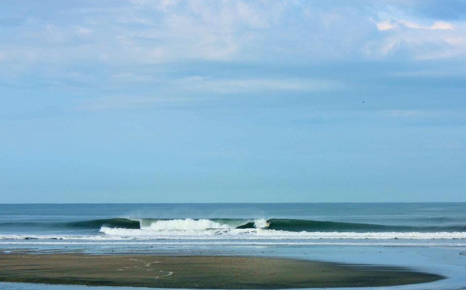 primitive surfboard nica banner